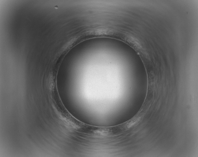 X0000072950164200608041317