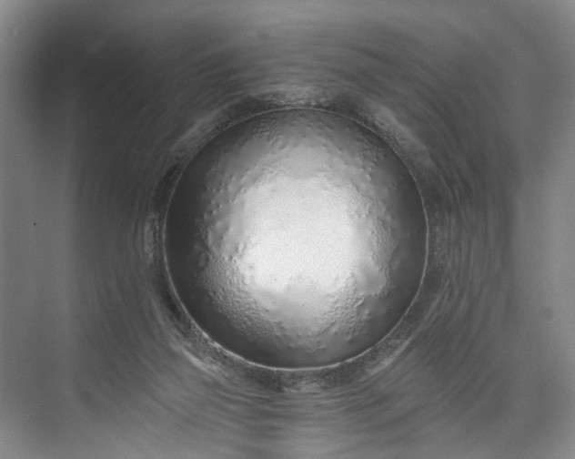 X0000072950165200608041317