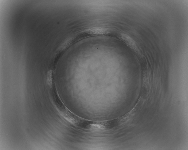 X0000072950167200608041317