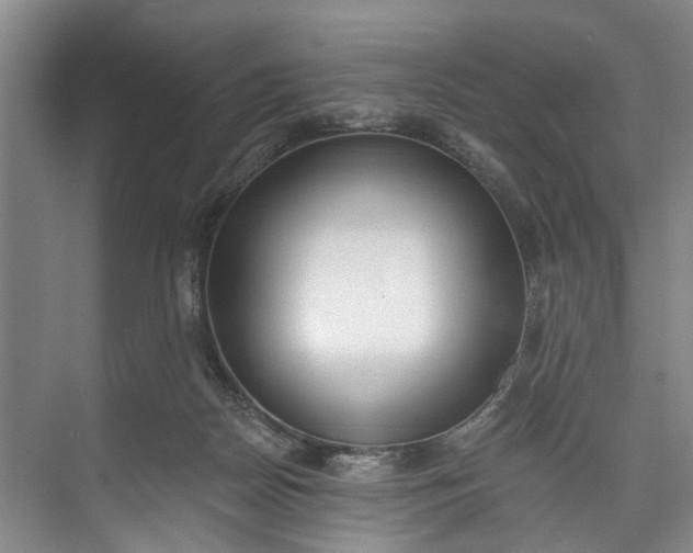 X0000072950170200608041317