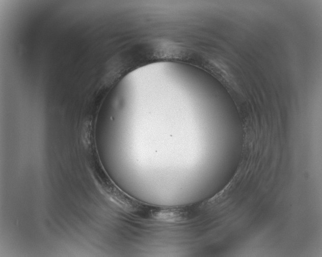 X0000072950171200608041317