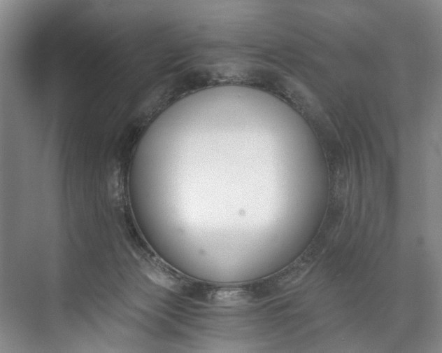 X0000072950173200608041317