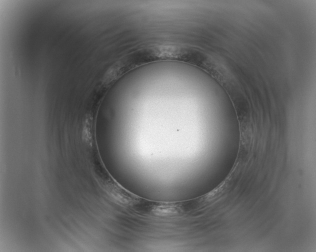 X0000072950175200608041317