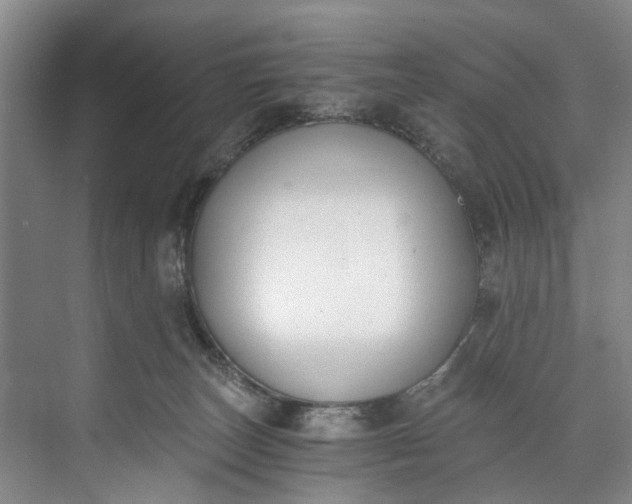 X0000072950179200608041317