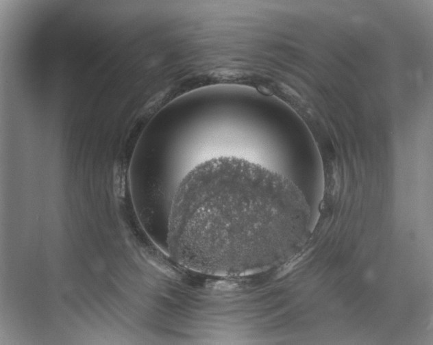 X0000072950180200608041317