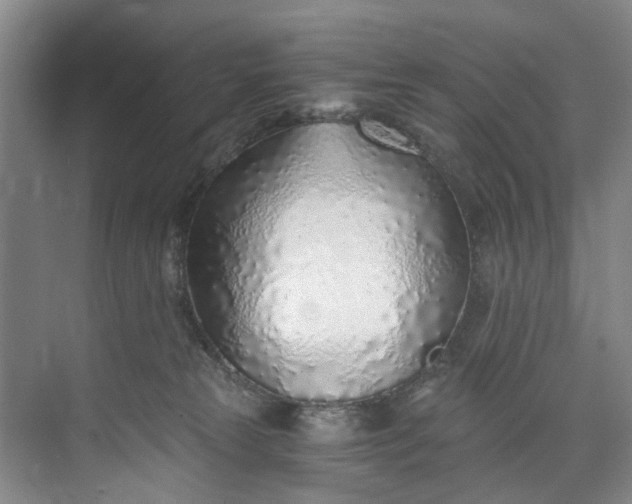 X0000072950181200608041317