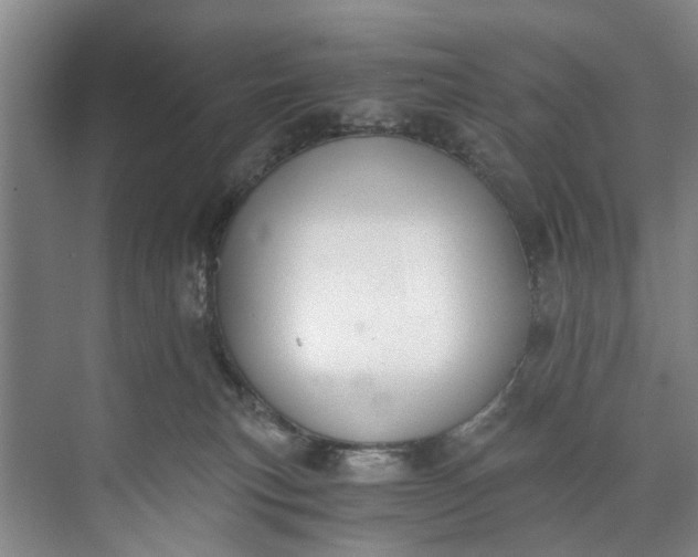 X0000072950183200608041317