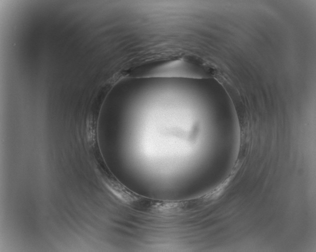 X0000072950186200608041317