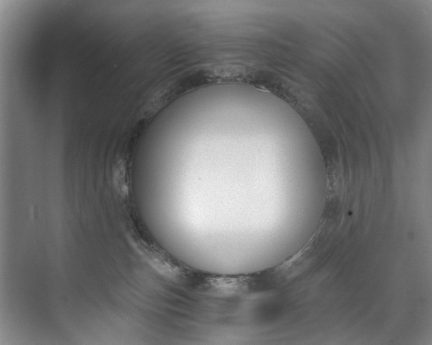 X0000072950187200608041317