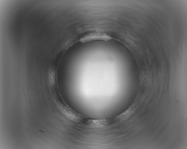 X0000072950188200608041317