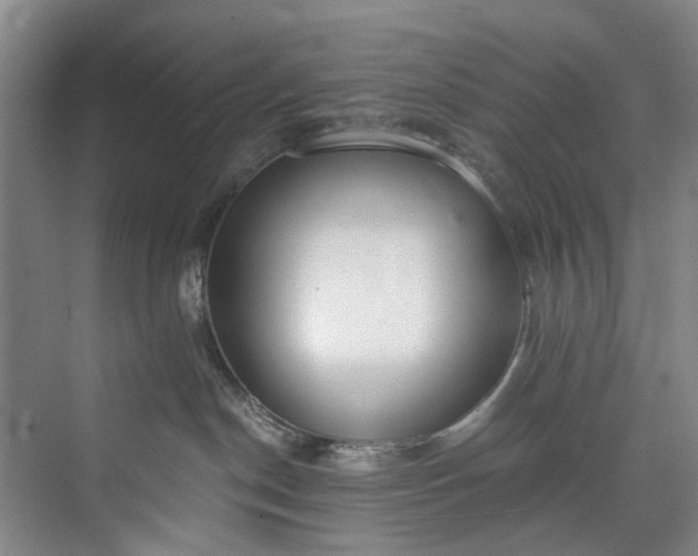 X0000072950190200608041317