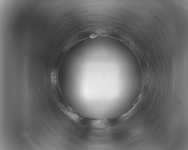 X0000072950191200608041317