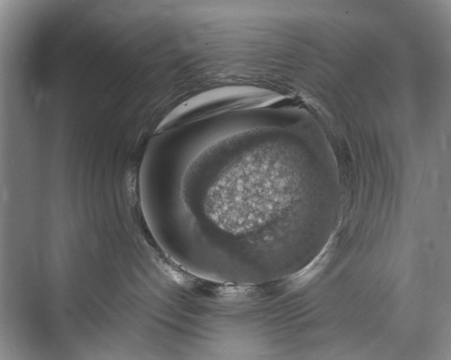 X0000072950192200608041317