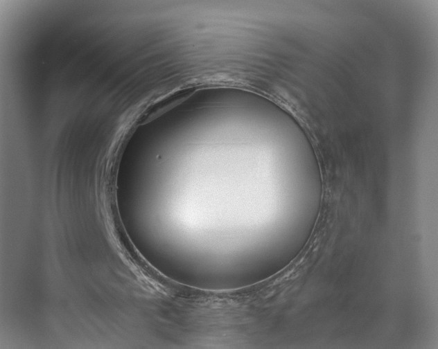 X0000072950193200608041316