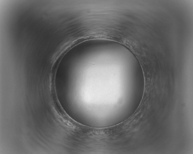 X0000072950194200608041316