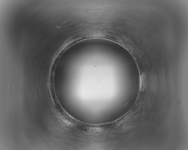 X0000072950195200608041316