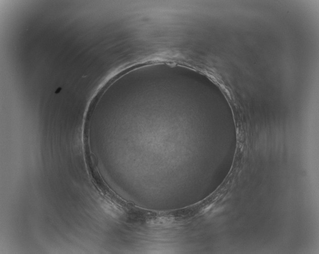 X0000072950196200608041316