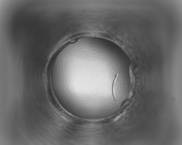 X0000072950198200608041316