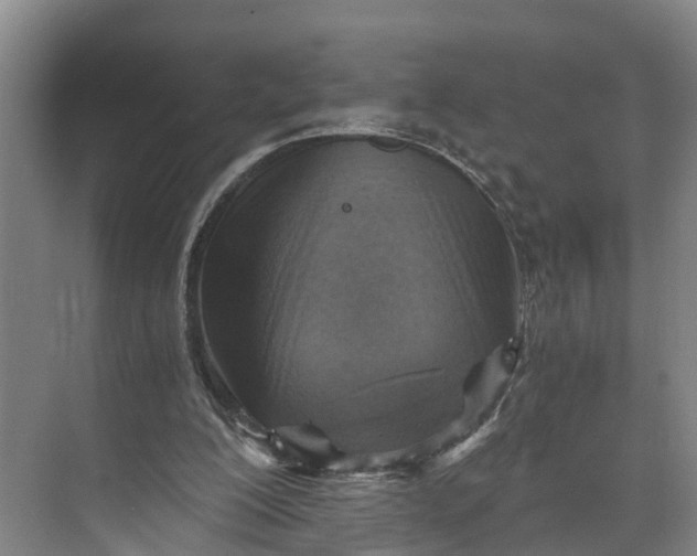 X0000072950200200608041316