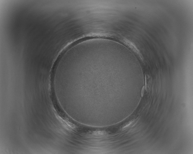 X0000072950204200608041316