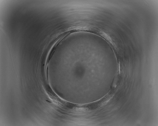 X0000072950205200608041316