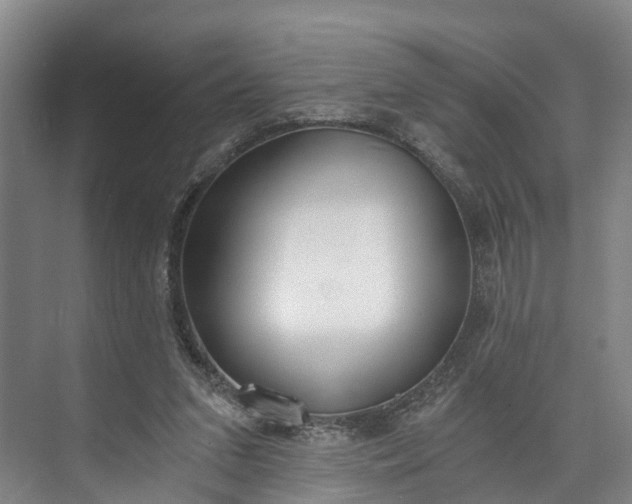 X0000072950207200608041316