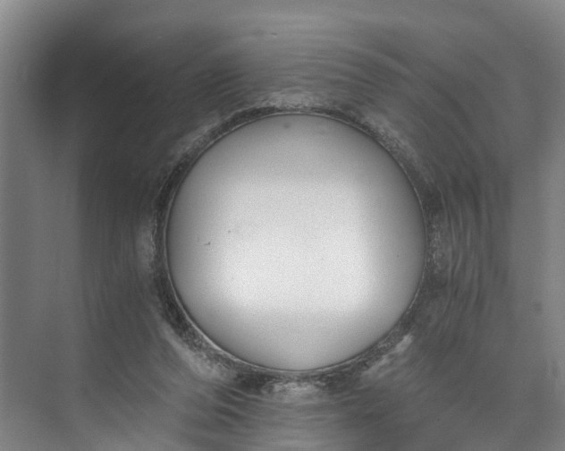 X0000072950208200608041316