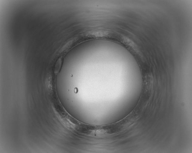 X0000072950212200608041316