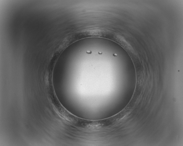 X0000072950213200608041316