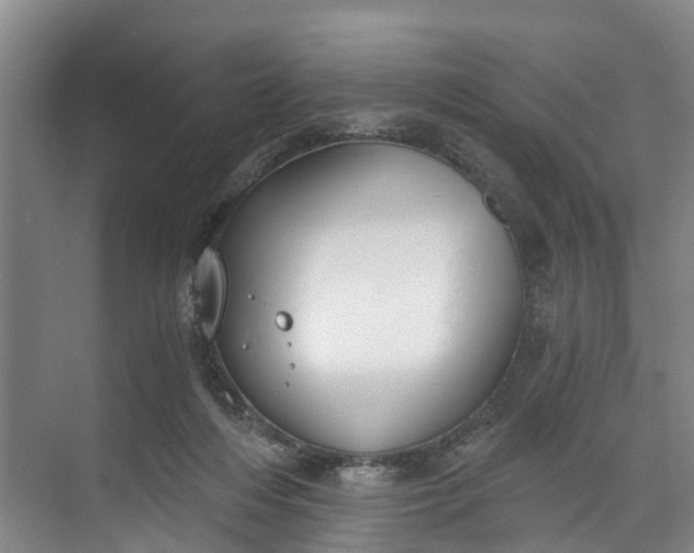 X0000072950216200608041316