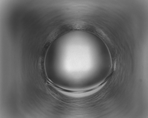 X0000072950217200608041316