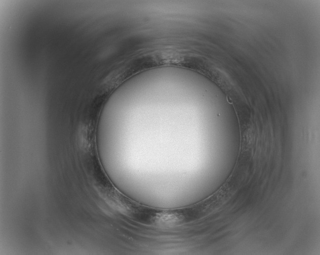 X0000072950218200608041316