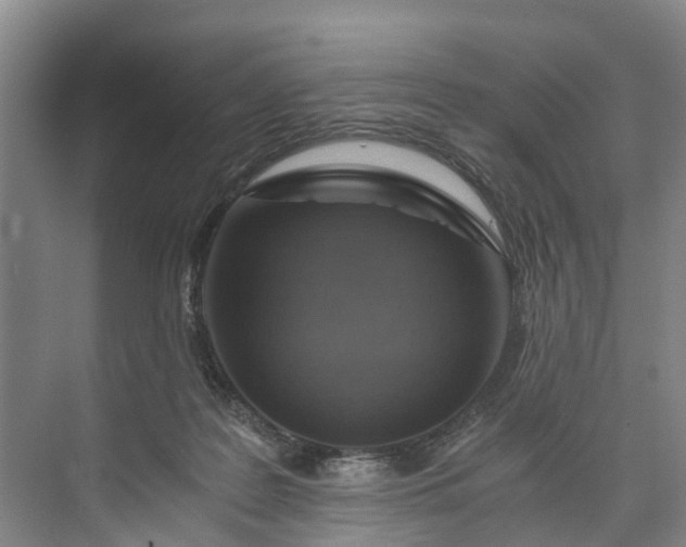 X0000072950219200608041316