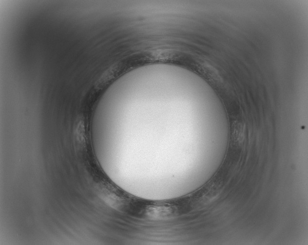 X0000072950220200608041316