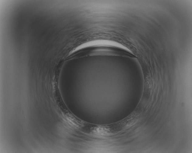 X0000072950223200608041316