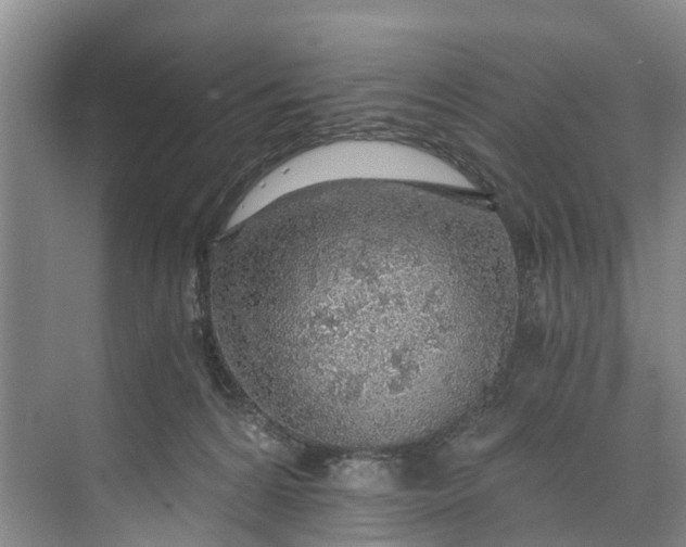 X0000072950224200608041316