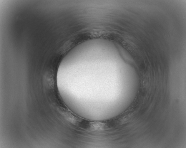 X0000072950226200608041316