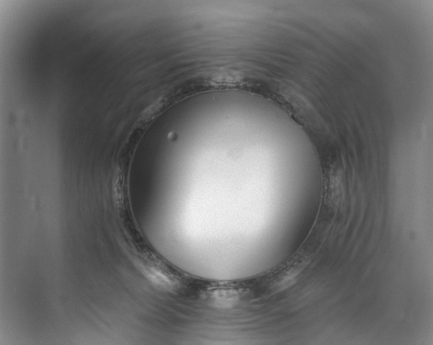 X0000072950228200608041316