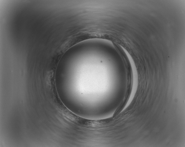 X0000072950229200608041316