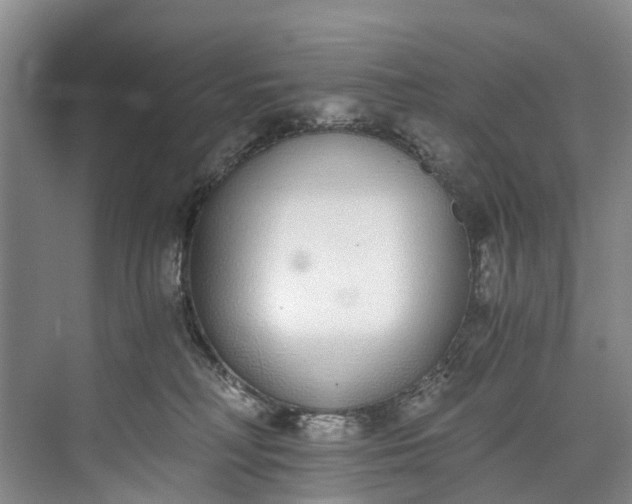 X0000072950230200608041316