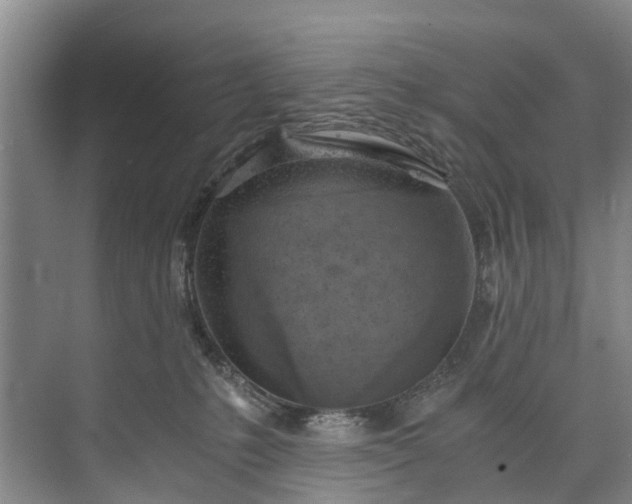 X0000072950231200608041316