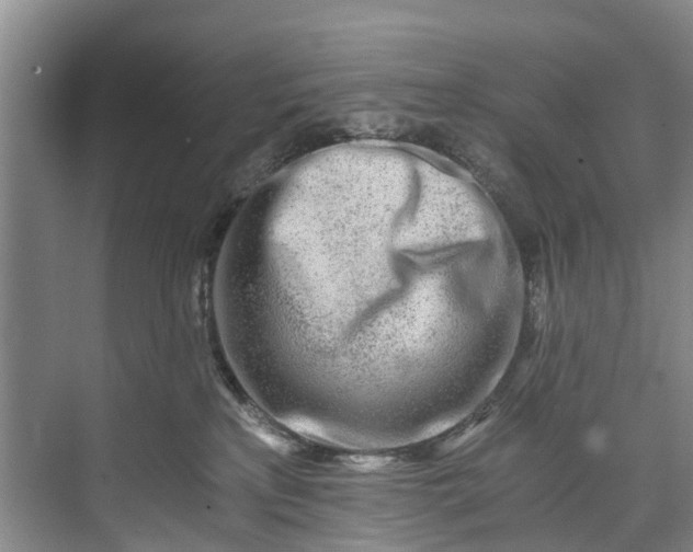 X0000072950233200608041316