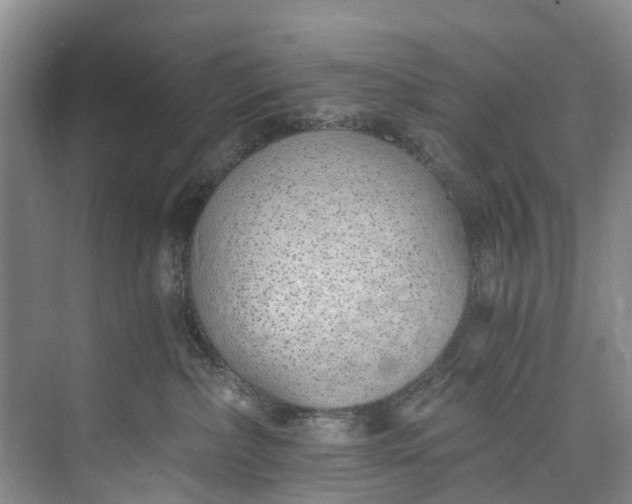 X0000072950236200608041316