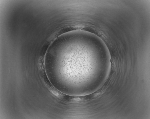 X0000072950237200608041316