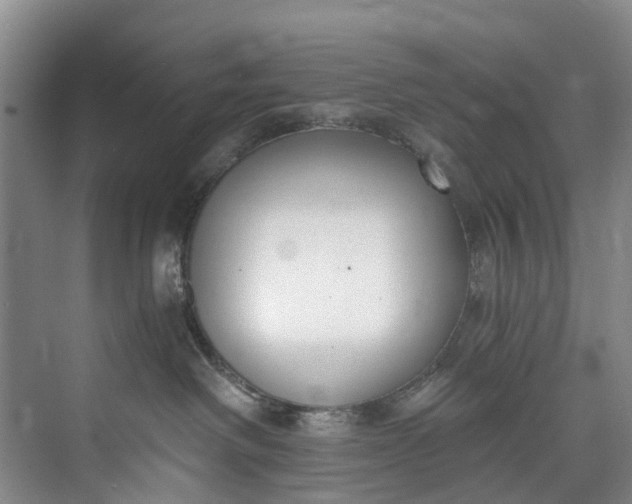 X0000072950238200608041316