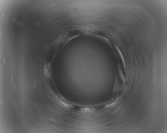 X0000072950239200608041316