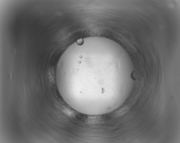 X0000072950240200608041316