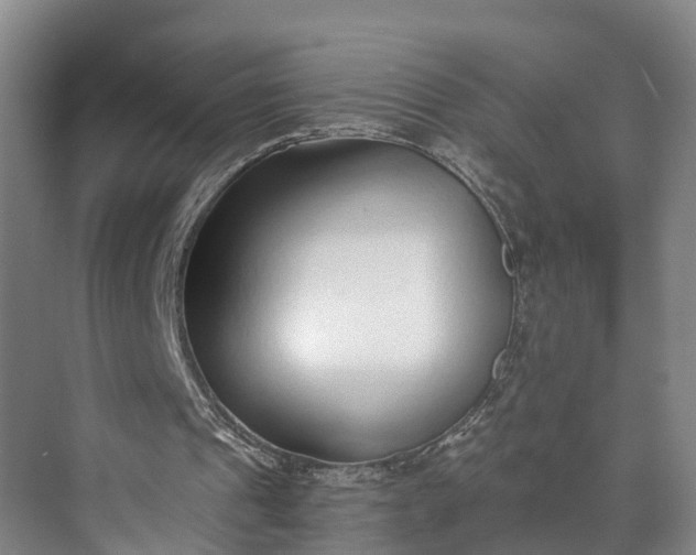 X0000072950241200608041315