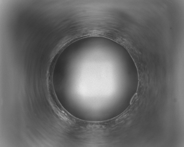 X0000072950242200608041315