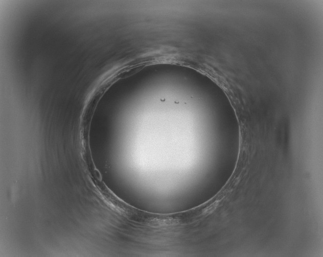 X0000072950245200608041315